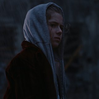 Crow, The Picture 9