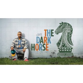Dark Horse, The Picture 3