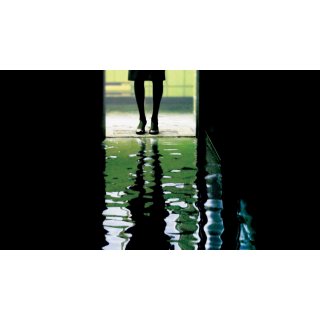Dark Water (2005)