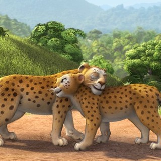 Delhi Safari Picture 15