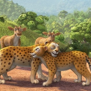 Delhi Safari Picture 34