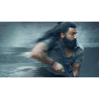 Dhurandhar (2025)