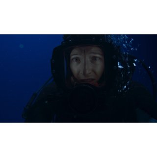 Dive, The (1970)