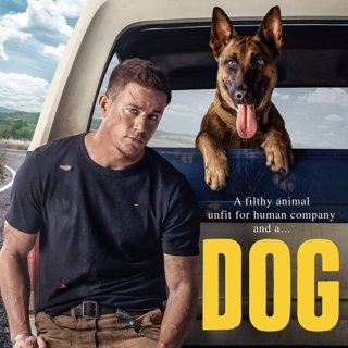 Poster of Dog (2022)