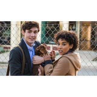 Dog's Way Home, A (2019)