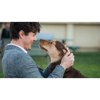 Dog's Way Home, A (2019)