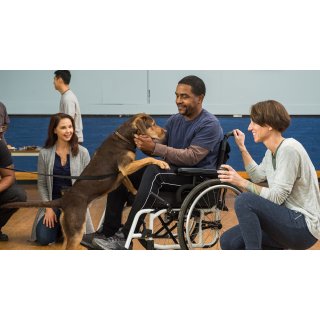 Dog's Way Home, A (2019)