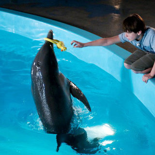 Dolphin Tale Picture 8