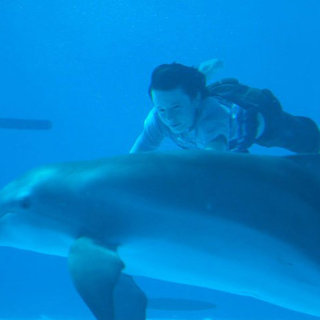 Dolphin Tale Picture 11