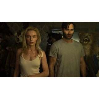 Domestics, The (2018)