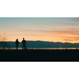 Don't Come Back from the Moon (2019)