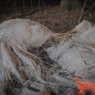 A scene from IFC Midnight's Argento's Dracula 3D (2013)