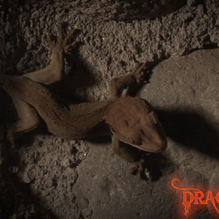 A scene from IFC Midnight's Argento's Dracula 3D (2013)