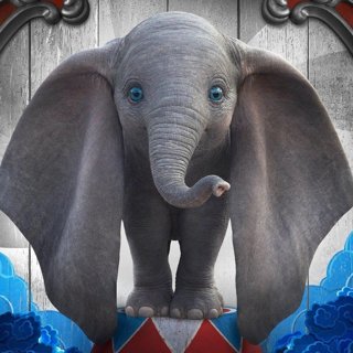 Dumbo Picture 3