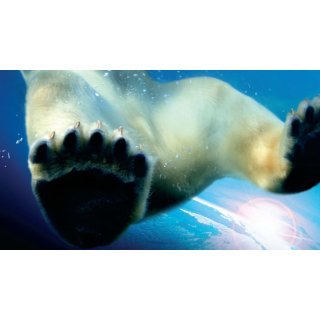 Earth (2009)