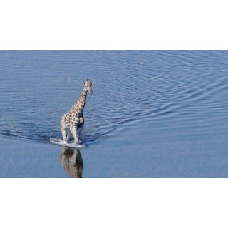 Earth Picture 10