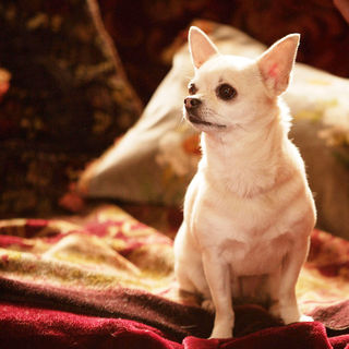 A scene from Ealing Studios' Easy Virtue (2009)