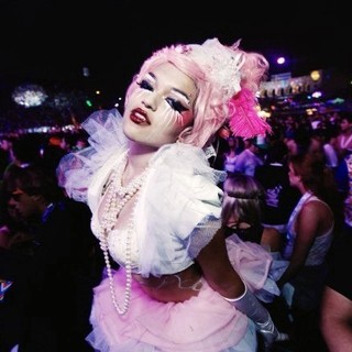 Electric Daisy Carnival Experience Picture 13