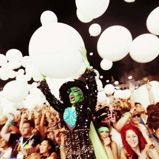 Electric Daisy Carnival Experience Picture 15