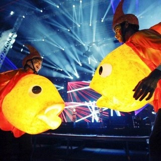 Electric Daisy Carnival Experience Picture 9