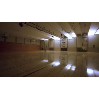 Elephant (2003)
