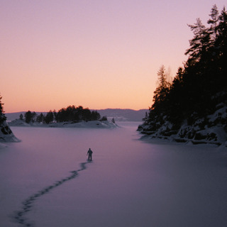 A scene from Tribeca Film's Essential Killing (2011)