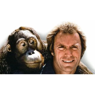 Every Which Way But Loose (1970)