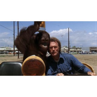 Every Which Way But Loose (1970)