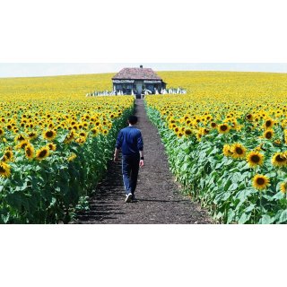 Everything is Illuminated (2005)