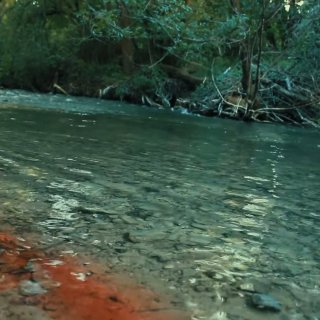 Exhumed (2026)