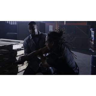 Falcon Rising (2014)