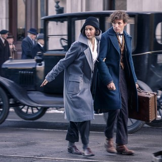 Katherine Waterston stars as Porpentina Goldstein and Eddie Redmayne stars as Newt Scamander in Warner Bros. Pictures' Fantastic Beasts and Where to Find Them (2016)