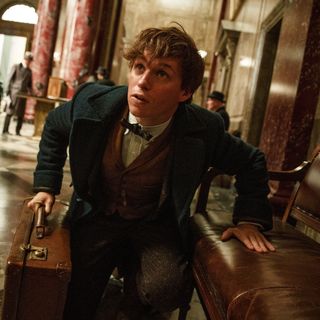 Eddie Redmayne stars as Newt Scamander in Warner Bros. Pictures' Fantastic Beasts and Where to Find Them (2016)