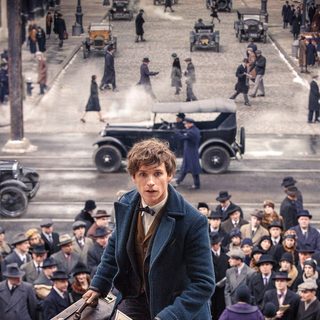 Fantastic Beasts and Where to Find Them Picture 4