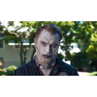 Fido (2007)