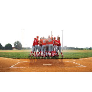 Final Season, The (2007)