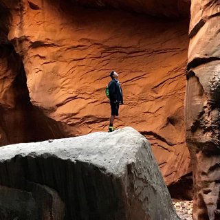 Find Me Picture 2