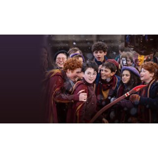 Finding Harry: The Craft Behind the Magic (2026)
