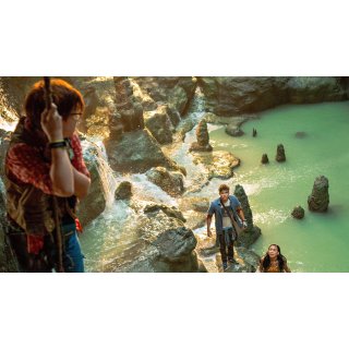 Finding 'Ohana Picture 4