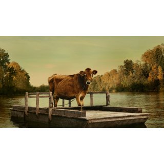 First Cow (2020)