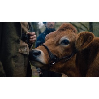 First Cow (2020)