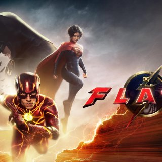 Flash, The Picture 10