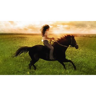 Flicka (2006)