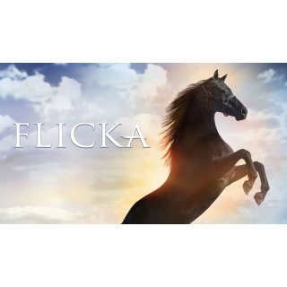 Flicka (2006)