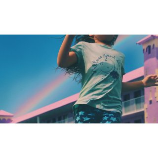 Florida Project, The (2017)