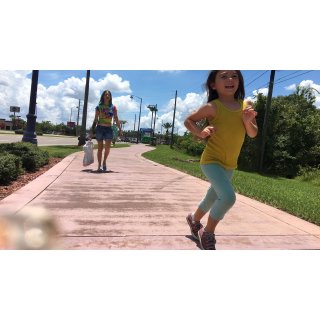 Florida Project, The (2017)