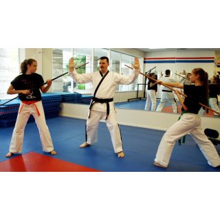 Foot Fist Way, The (2008)