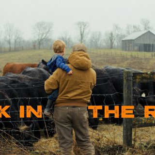 Fork in the Road (2026)