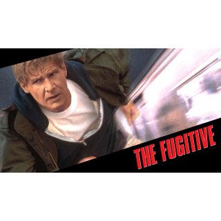 Fugitive, The Picture 10