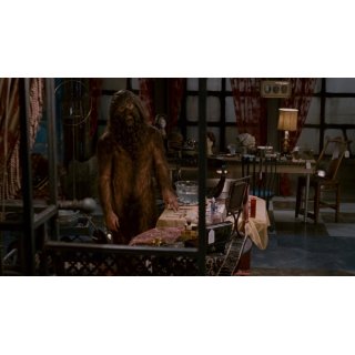 Fur: An Imaginary Portrait of Diane Arbus (2006)